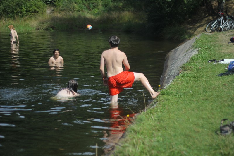 IMG_2767.jpg