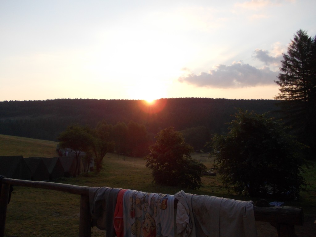 DSCN7452.jpg