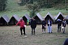 _MG_4354.jpg
