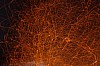 _MG_4581.jpg