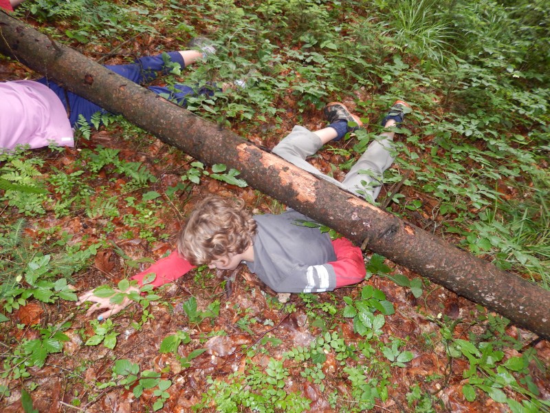 DSCN0232.jpg