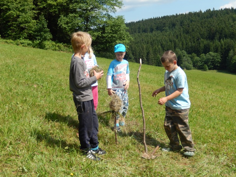DSCN0343.jpg