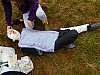DSCN0221.jpg