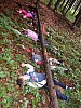 DSCN0229.jpg