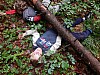 DSCN0230.jpg