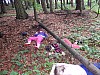 DSCN0231.jpg
