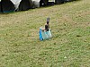DSCN0267.jpg