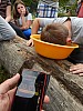 DSCN0541.jpg