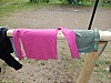 DSCN0797.jpg