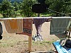 DSCN0804.jpg