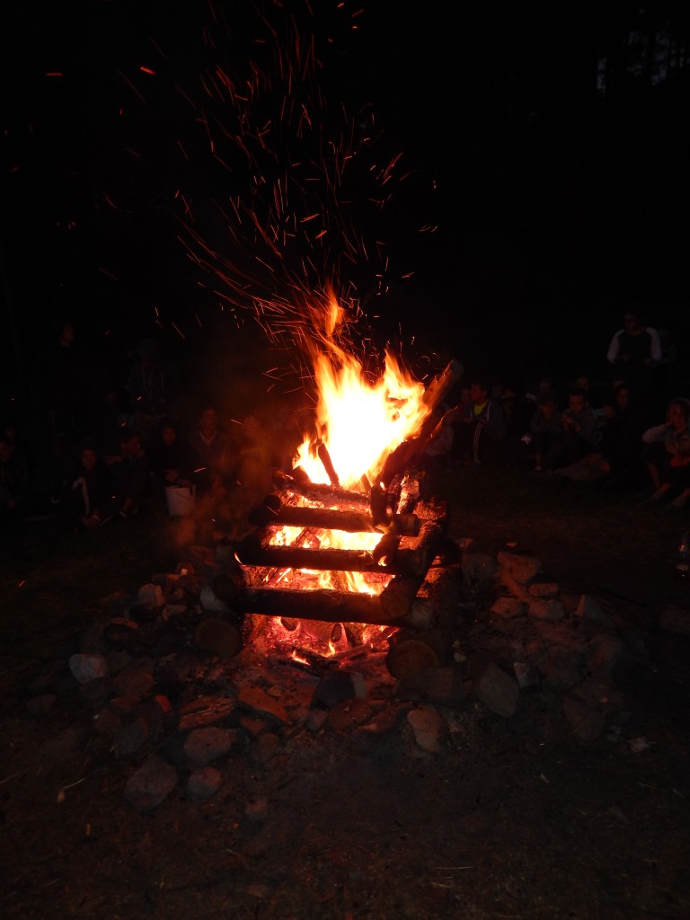 DSCN2821.jpg