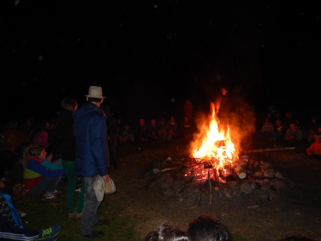 DSCN2914.jpg