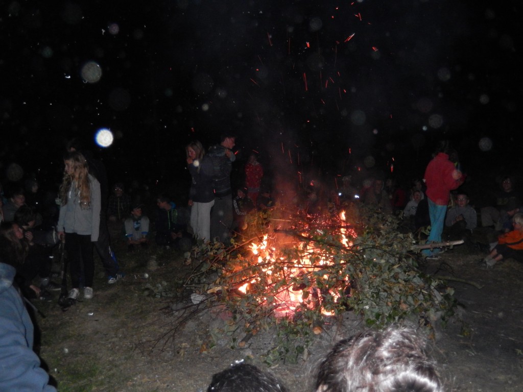 DSCN2916.jpg