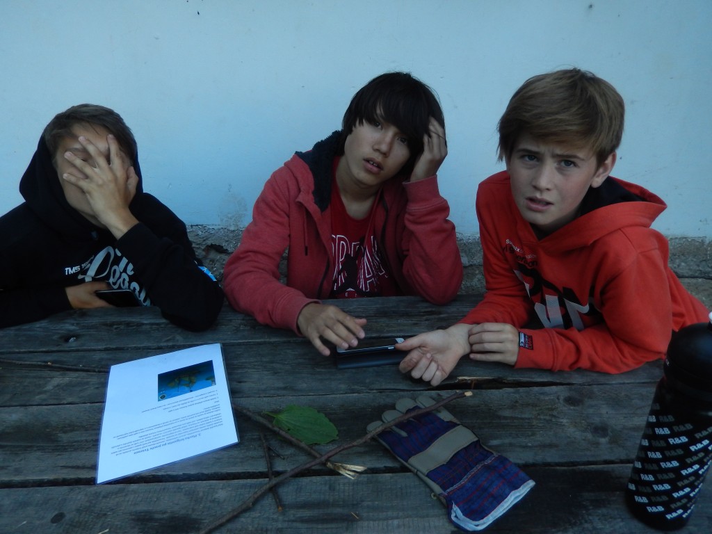 xSCN3099.jpg