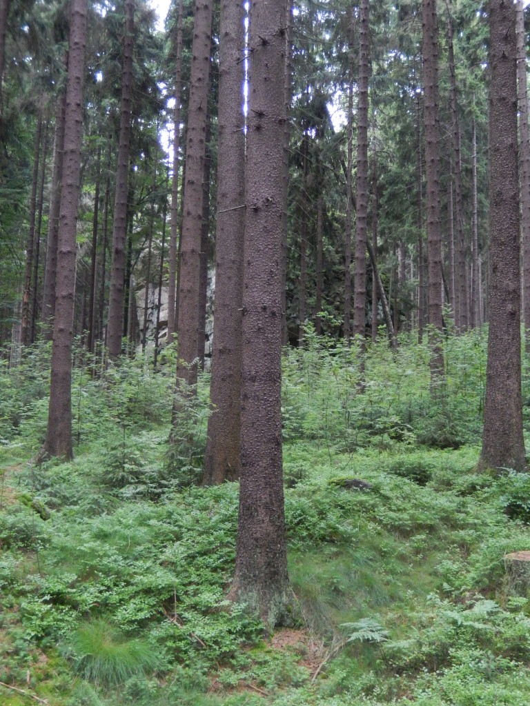 xSCN3249.jpg
