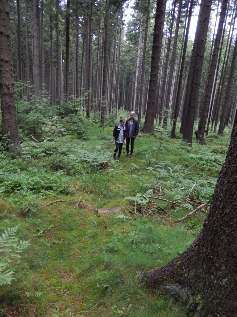 xSCN3251.jpg