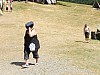 xSCN3240.jpg