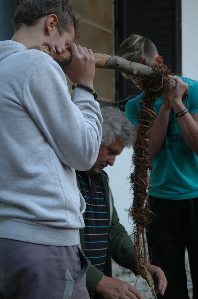 DSC_0296.jpg