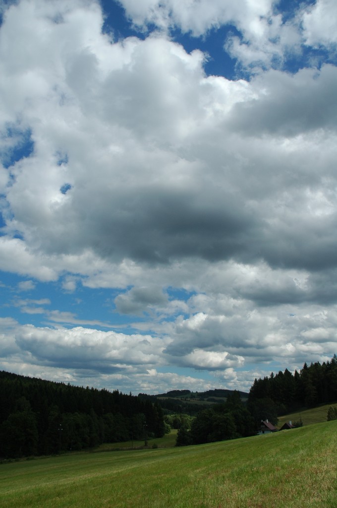 DSC_0320.jpg
