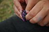 DSC_0059.jpg