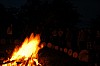 DSC_0104.jpg