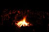 DSC_0182.jpg