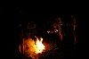 DSC_0203.jpg