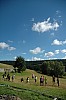 DSC_0204.jpg