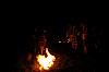 DSC_0206 (2).jpg