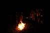 DSC_0207.jpg