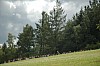 DSC_0321.jpg