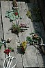 DSC_0345 (2).jpg