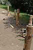 DSC_0389.jpg