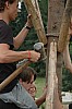 DSC_0519.jpg