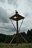 DSC_0561.jpg
