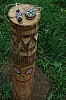 DSC_0584.jpg