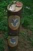 DSC_0594 (2).jpg