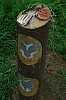 DSC_0595.jpg