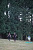 DSC_0791.jpg