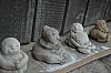 DSC_0953.jpg