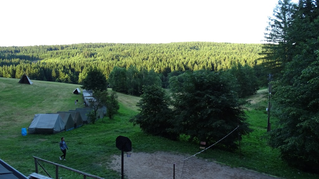 DSC08320.jpg