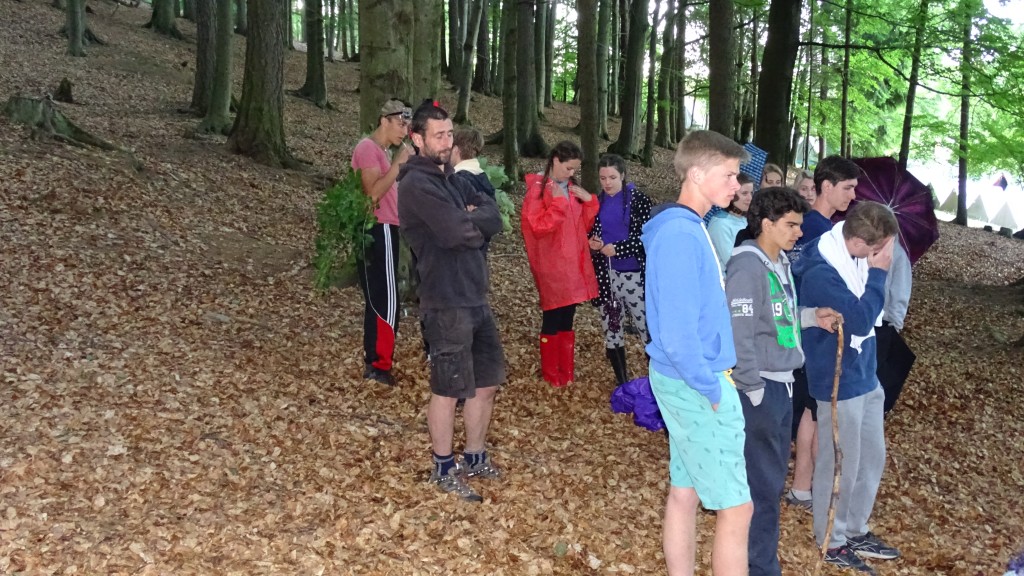 DSC08343.jpg