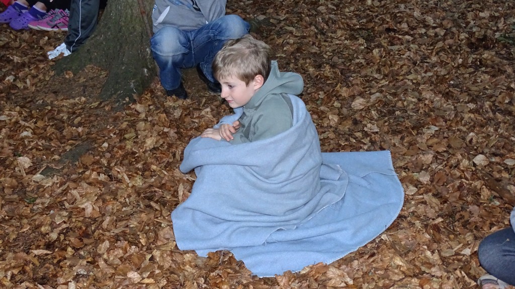 DSC08355.jpg