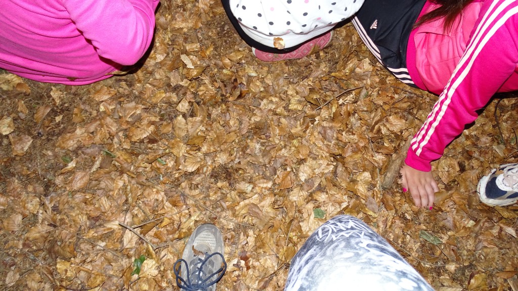 DSC08402.jpg