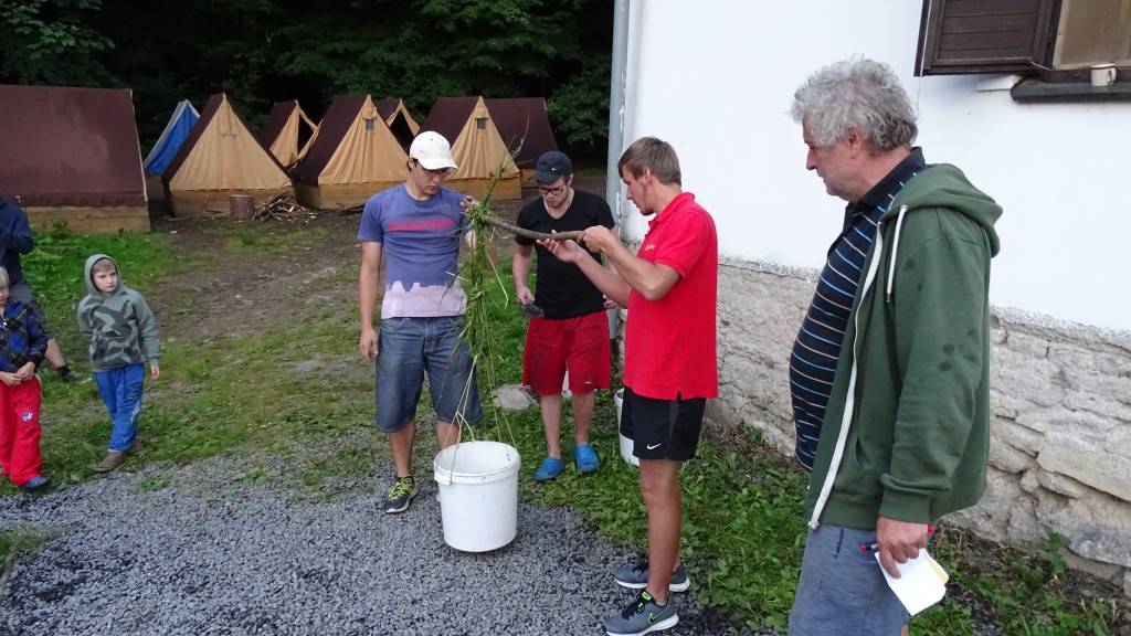 DSC08422.jpg