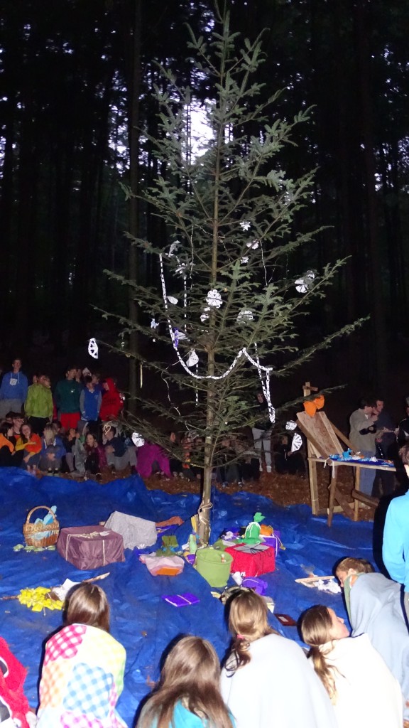 DSC08484.jpg