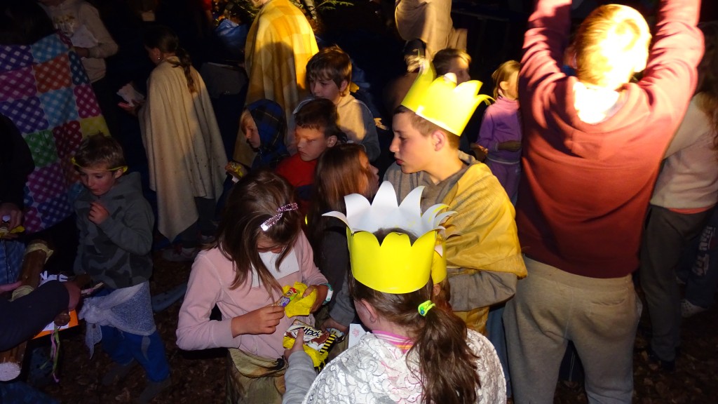 DSC08527.jpg