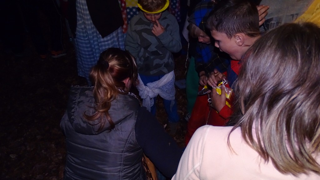 DSC08528.jpg