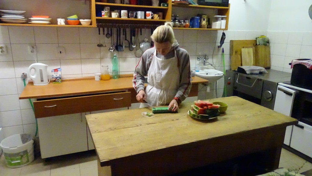 DSC08557.jpg