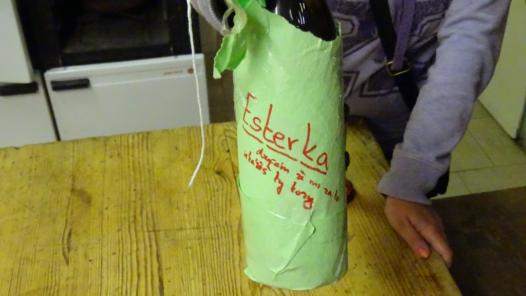 DSC08560.jpg